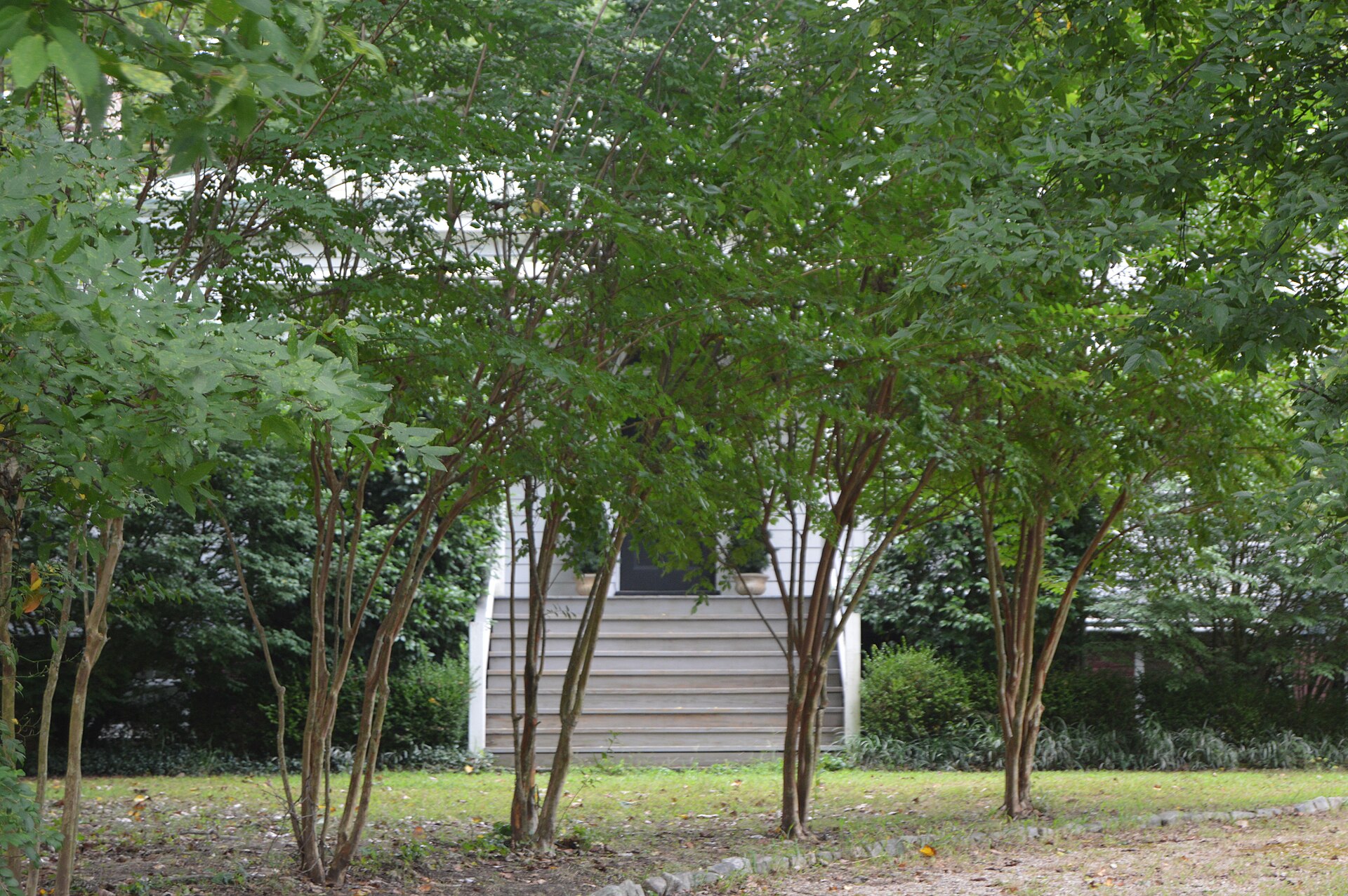 Movers in Henrico, VA
